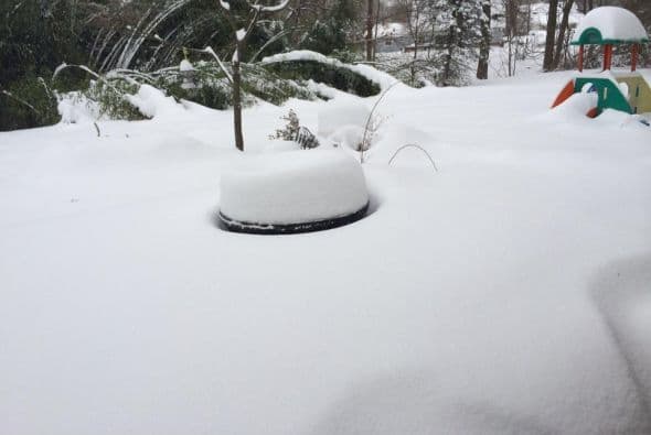 Gabriel Aguilar nos manda esta fotografía de lo que se supone es un parque, por lo menos en verano.