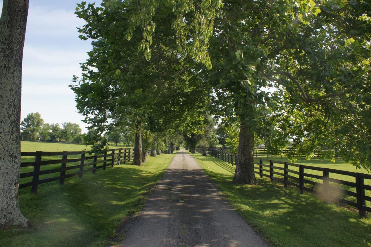 En el 2005, 
<b>el intérprete de 'Willy Wonka'</b> volvió a comprar la propiedad, de 42 acres, por 2 millones de dólares.