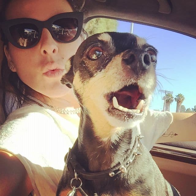 La siempre bella Kate del Castillo también disfruta de la compañía de su pequeña Lola, una pequeña chihuahua.