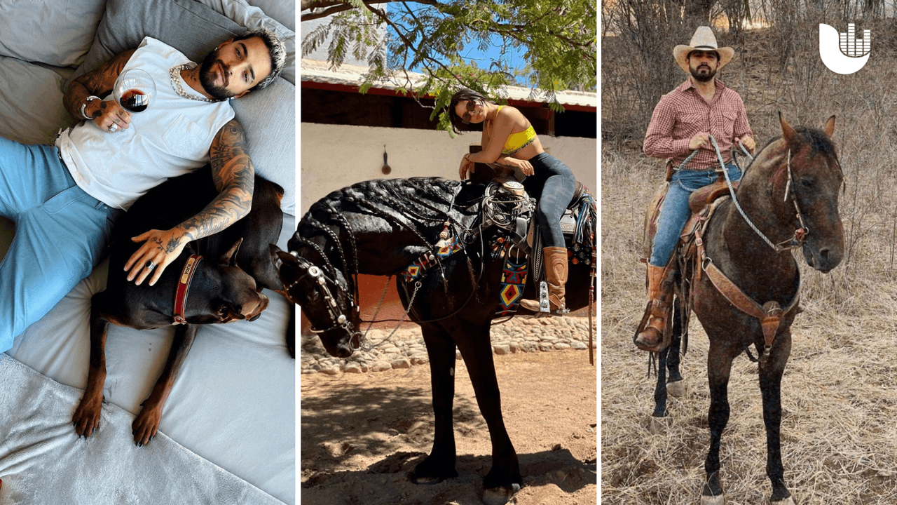 Conoce a las mascotas de Ángela Aguilar, Chiquis, Thalia y otros artistas