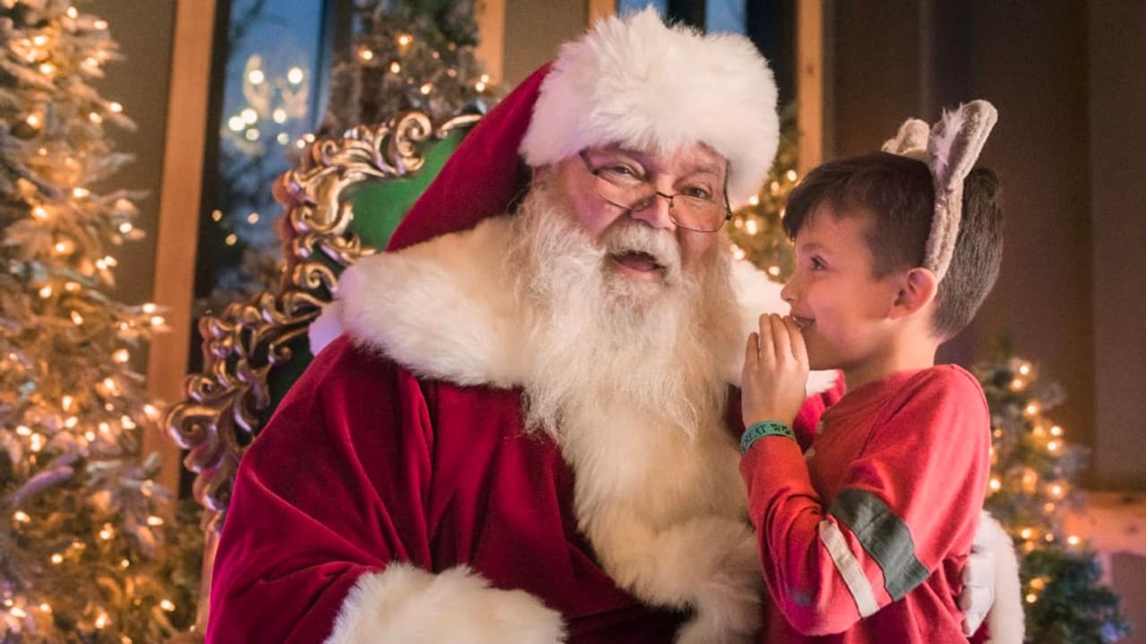 Great Wolf Lodge se convierte en 
<b>un paraíso invernal con lluvias de nieve artificial y actividades festivas</b>, manualidades y villancicos. Las habitaciones se transforman en chalets navideños con toboganes en forma de corona. Disponible hasta el 8 de enero de 2024. 📍
<a href="https://maps.app.goo.gl/GhZqpXmtJsJVrHMaA" target="_blank">100 Great Wolf Dr. </a>