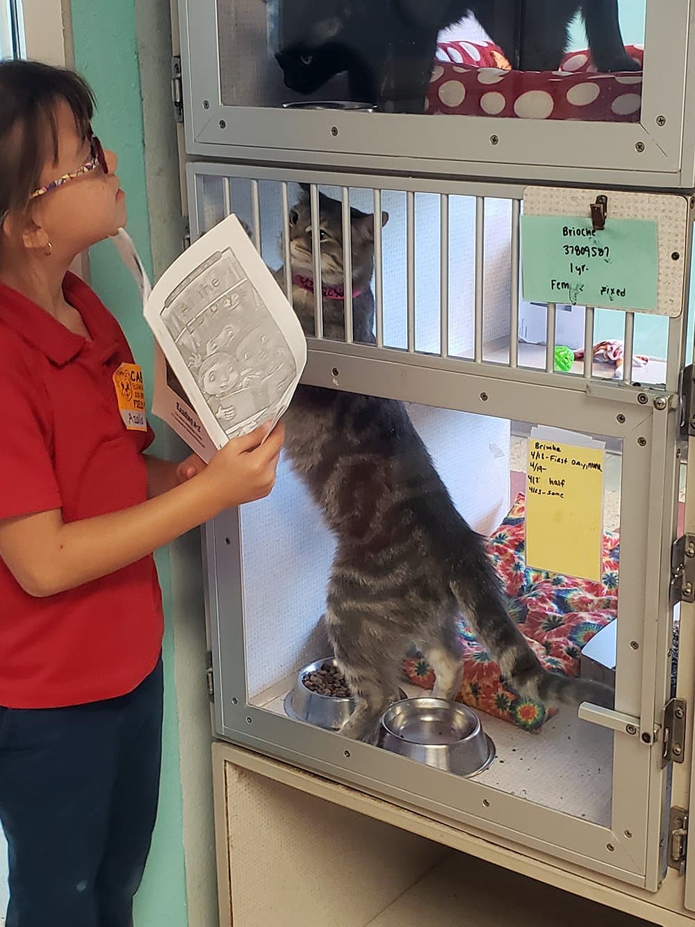 Cuenta la profesora del plantel educativo, Mrs Briseño, que el propósito de esta iniciativa es que los estudiantes vuelvan a leer los libros varias veces para aumentar la fluidez y la exposición a la alfabetización.