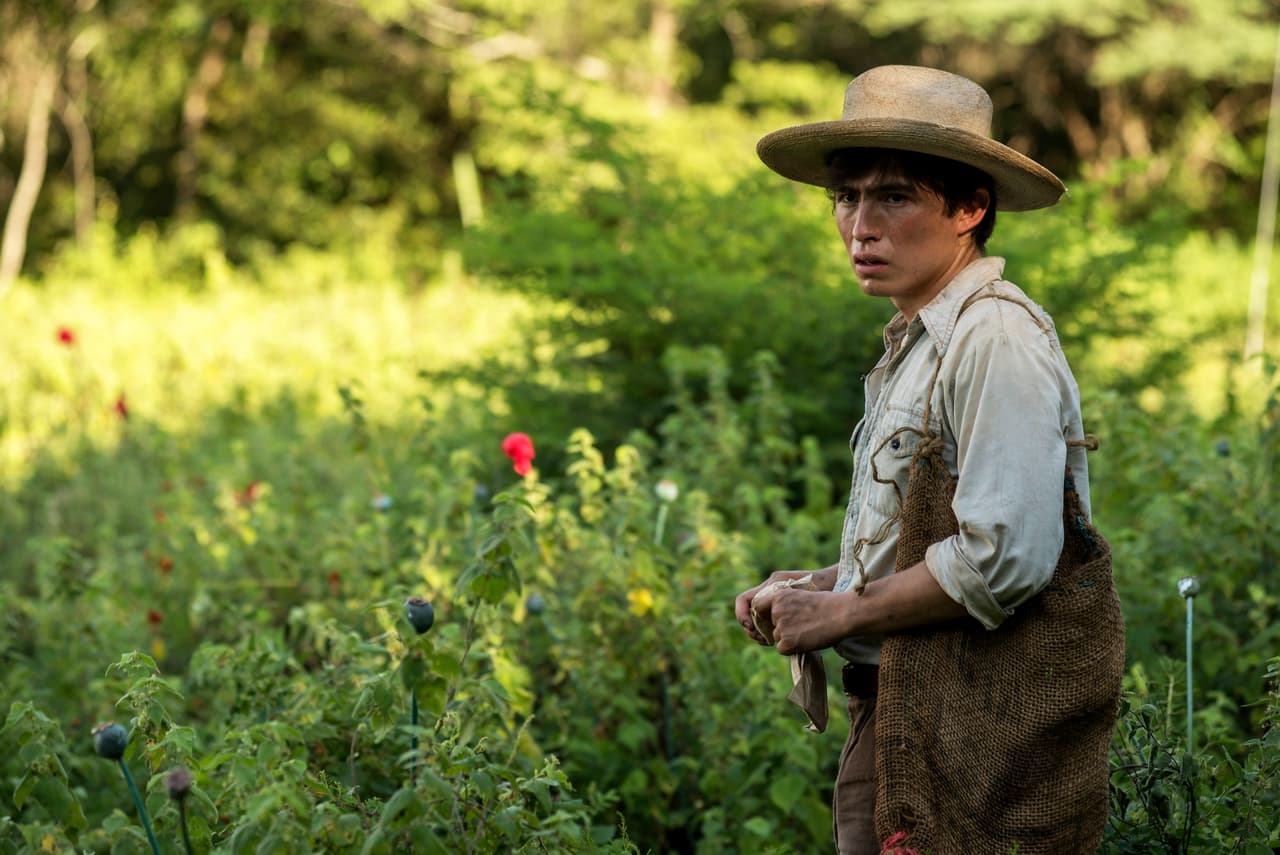 Los días como joven sembrador de amapola llegaron a su mente.