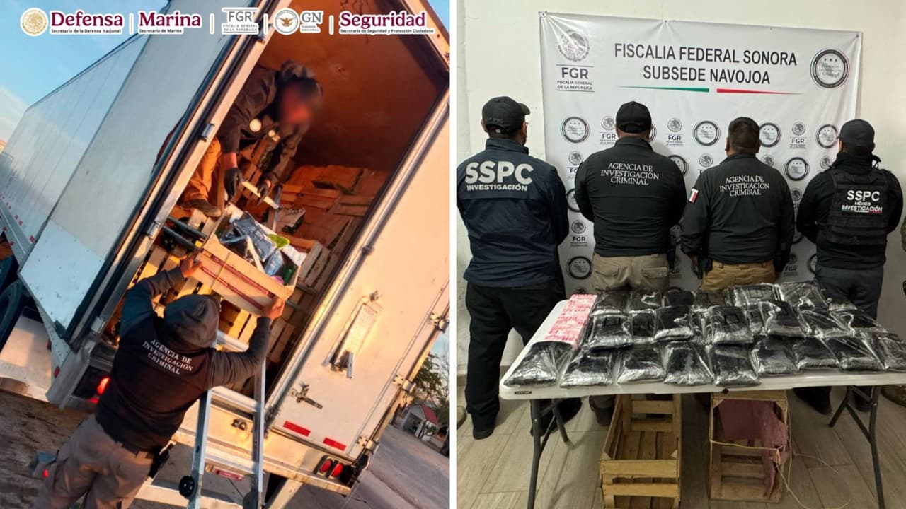 Nopales con fentanilo: Detienen a conductor en Sonora con 275,000 píldoras de la droga