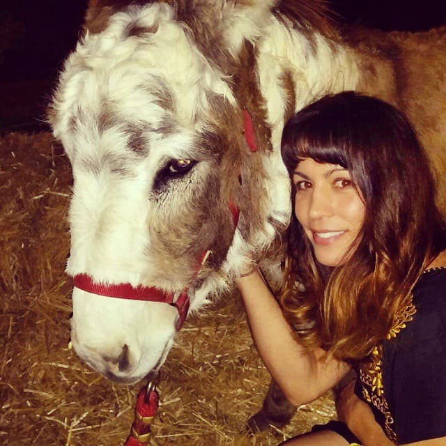 La familia planea un funeral el próximo viernes 3 de enero en la parroquia de la Divina Misericordia en Gardner, según un 
<a href="https://www.legacy.com/obituaries/kansascity/obituary.aspx?n=patricia-fitzgerald-tee&pid=194853805&fhid=4643" target="_blank">obituario en línea</a>.