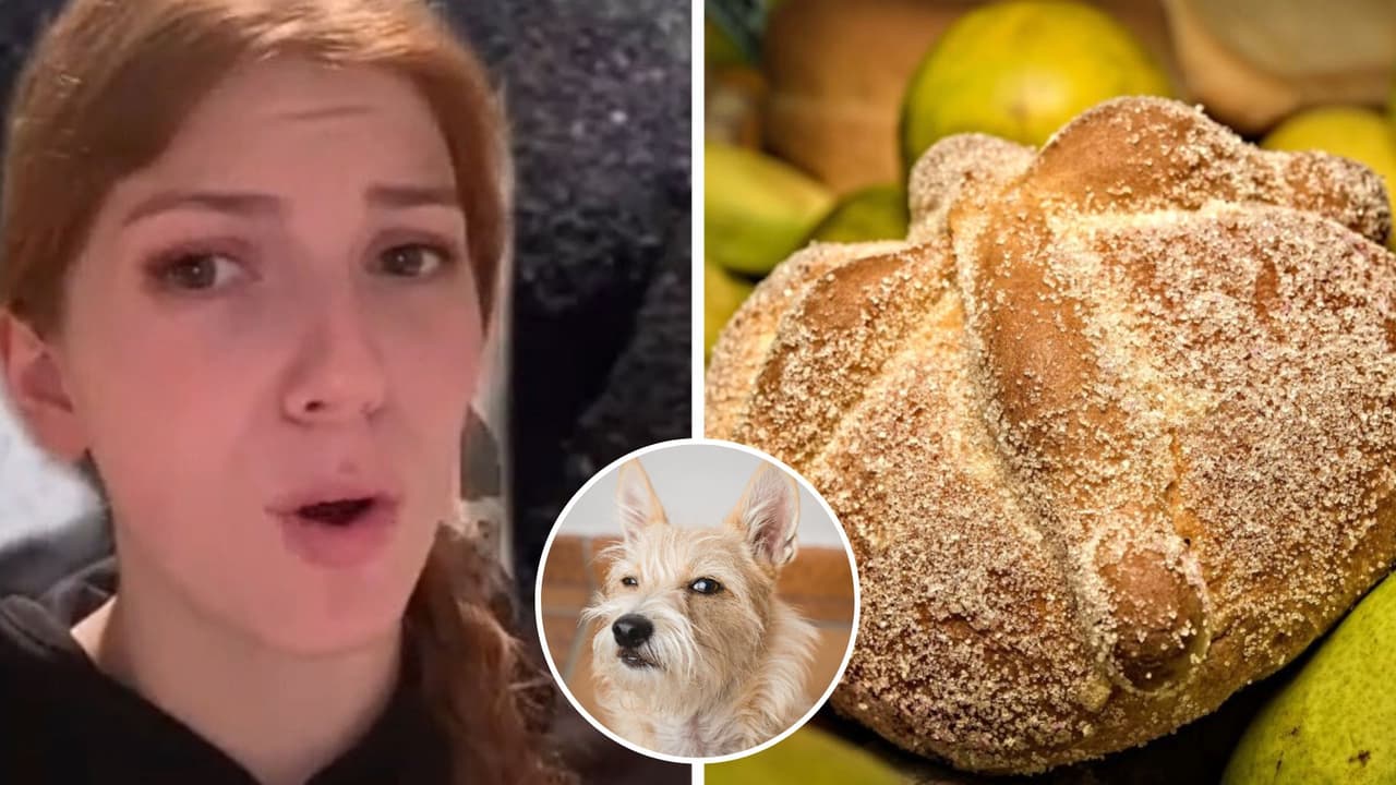 Estadounidense afirma que el pan de muerto se hace con cenizas de difuntos: mexicanos se burlan