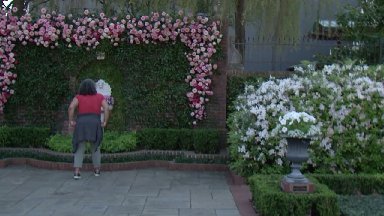 Además, mantiene el embellecimiento histórico de la ciudad.