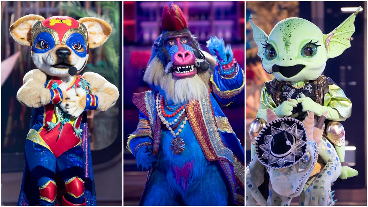 La séptima gala estuvo dedicada a las telenovelas y los investigadores recordaron a algunos personajes icónicos. Martha Higareda llegó como Catalina Creel, Anahí como Mía Colucci, Carlos Rivera con el uniforme de RBD y Juanpa Zurita como 'Juanjo', personaje de El Triunfo del Amor que ha sido protagonista de cientos de memes. Seis personajes presentaron sus performances; los tres primeros fueron Huesito Peligroso, Camilo Mandrilo y Venustiano. De este combate Huesito Peligroso fue salvado por los investigadores, así que Venustiano y Camilo Mandrilo quedaron en zona de riesgo.