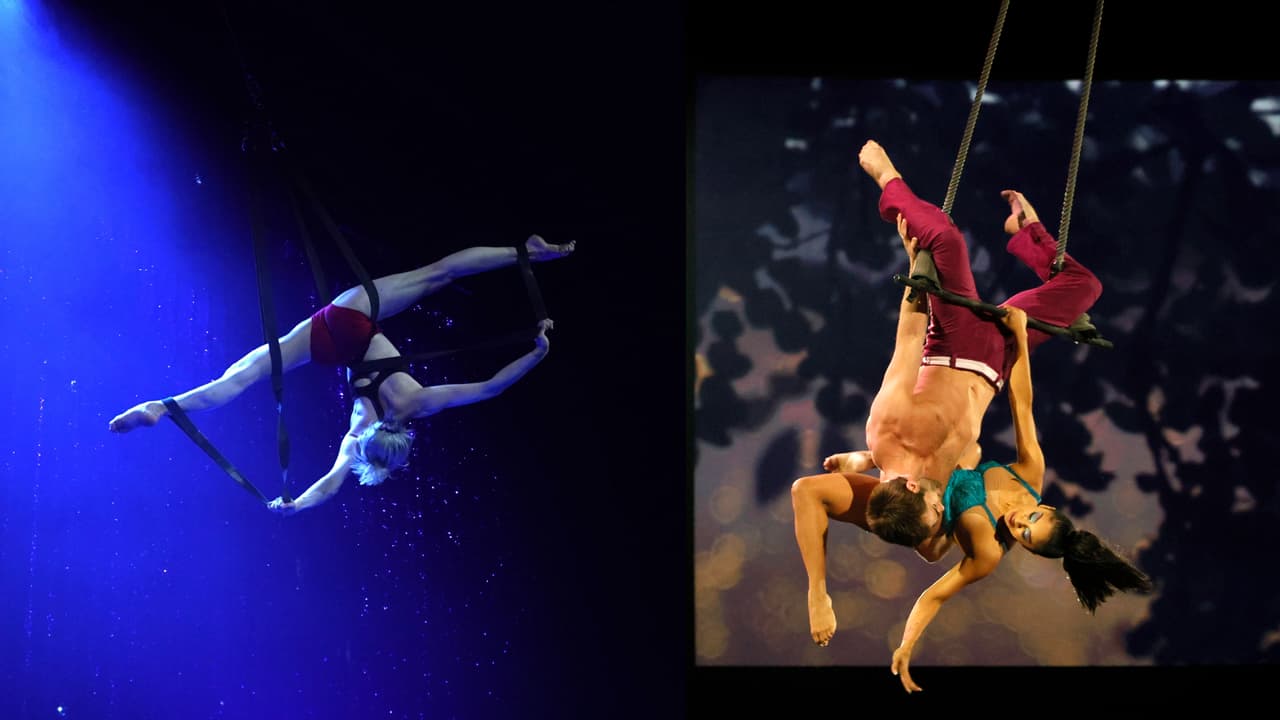 Detrás de las cortinas del Circo del Sol: ¿qué comen los artistas que desarrollan exigentes movimientos?
