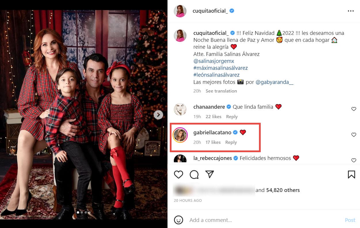 <b>Jorge Salinas y Elizabeth Álvarez</b> posaron junto a sus mellizos. Gabriella Cataño, la hija mayor del actor, reaccionó a la publicación.