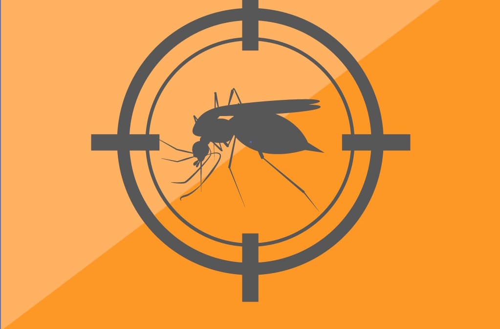 Recomendaciones para evitar contagiarse de zika