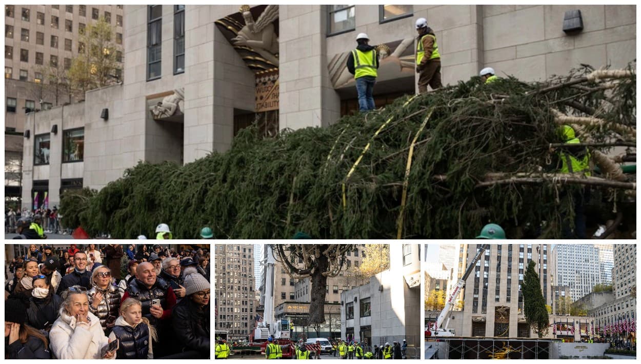 Árbol de Navidad del Rockefeller Center 'practicó' por años con Lesley Albert en Massachusetts 