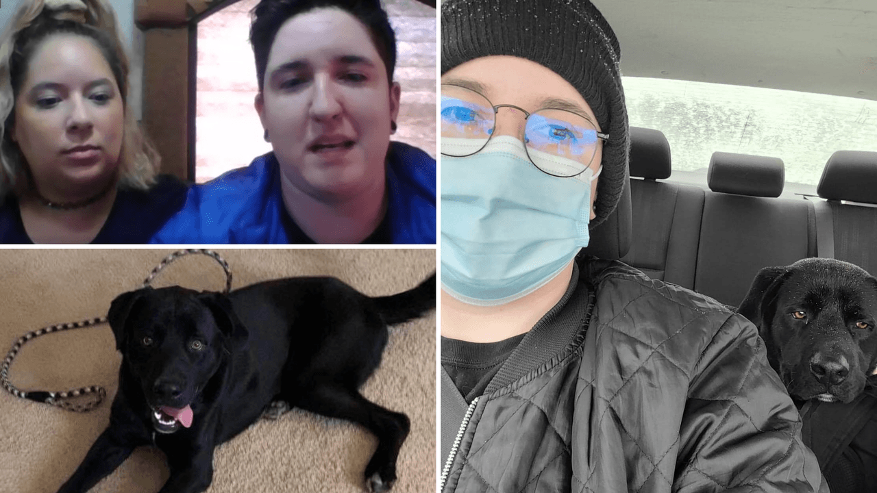 Latina rescata a perro con tortillas durante tormenta invernal y ahora lo llaman “Taco”