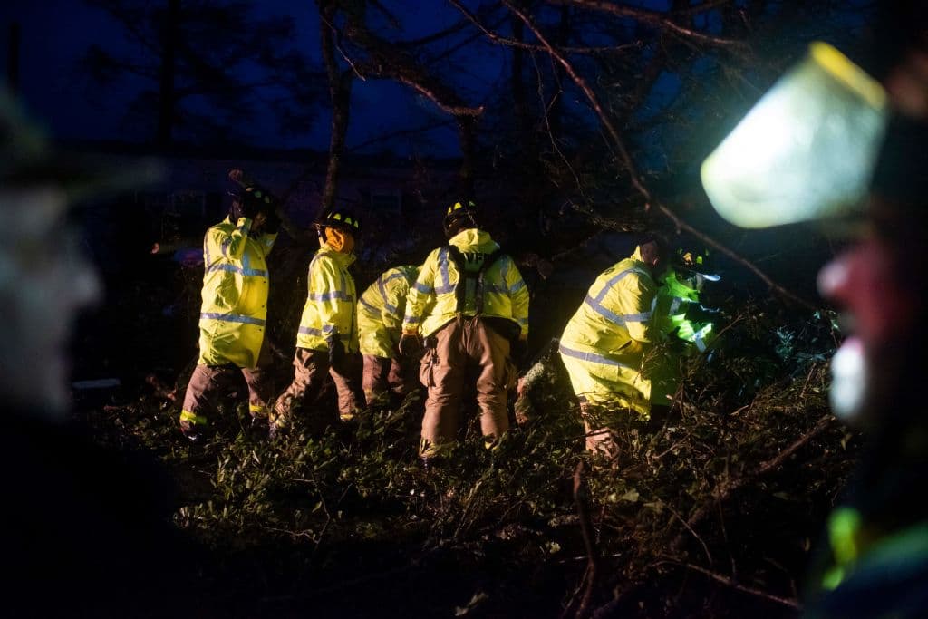 Primer fallecido por el huracán Ida, tras la caída de un árbol sobre su vivienda