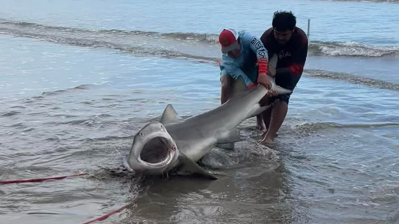 Stevie Jo Tipton dijo a Univision 45 que a ella y a su familia les gusta mucho pescar. “Me gustó ver eso tan grande y tan cerca”, continúo.