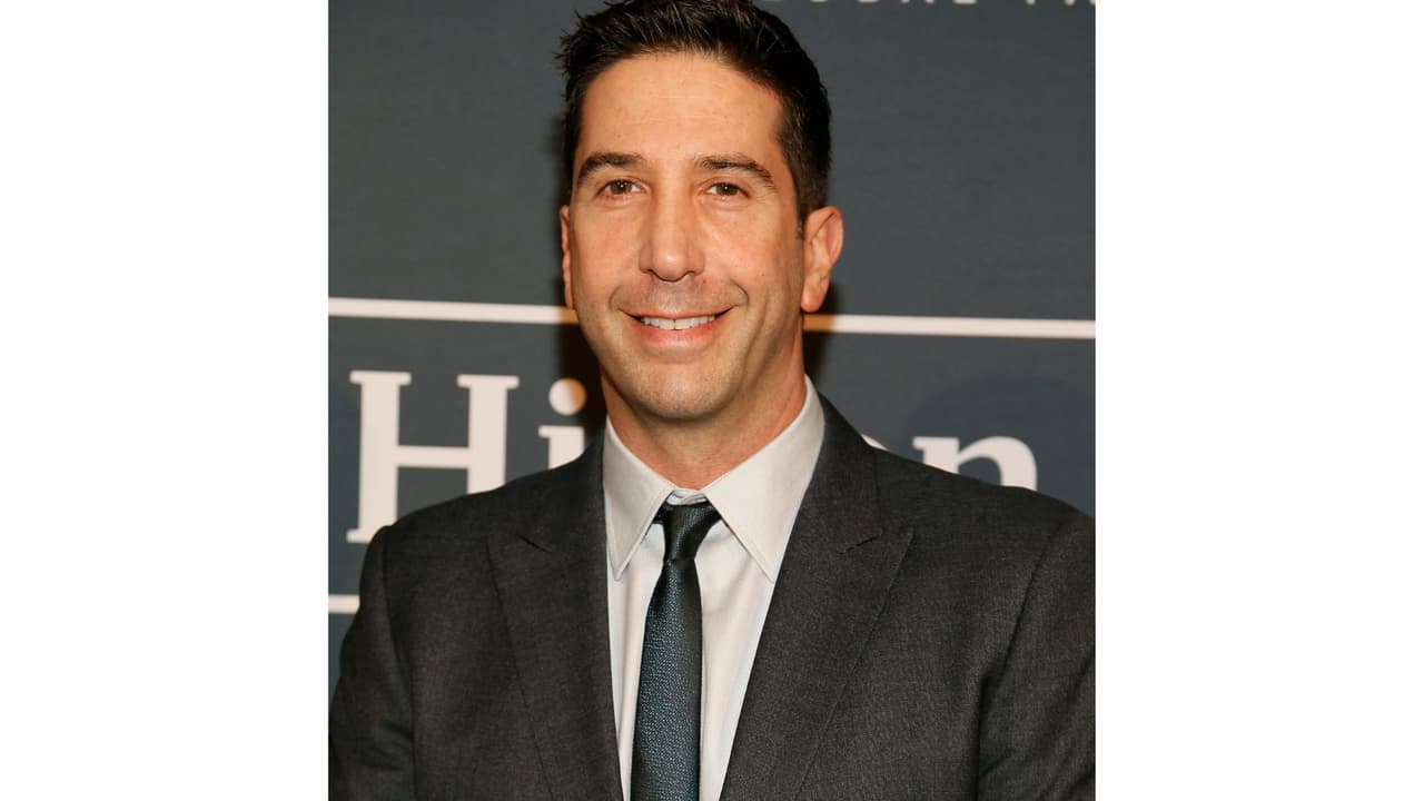 David Schwimmer