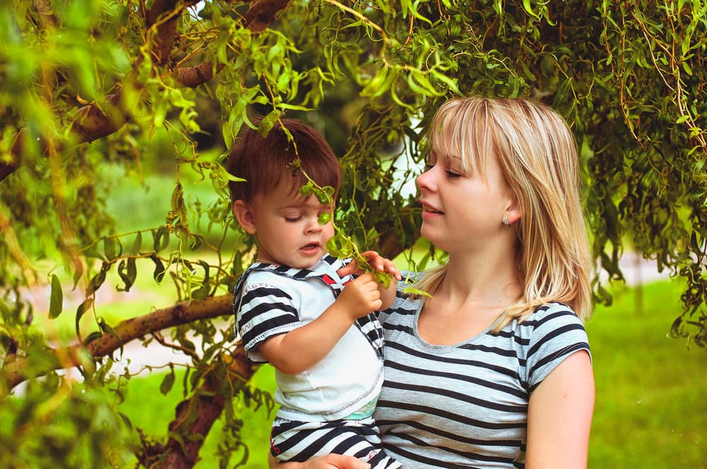 Somos seres de la naturaleza llenos de energía creativa. En nosotros recae conectarnos con los elementos y el flujo de vida para no tener vibras estancadas o negativas. Veamos cómo podemos relacionarlo al zodiaco.