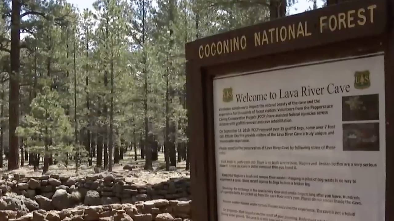 Esta cueva fue descubierta por trabajadores madereros en 1915 y es considerada la más larga de su tipo en Arizona
<br>