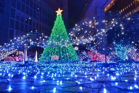 Se dice que son tiempo de paz y amor así que, ¡feliz navidad!