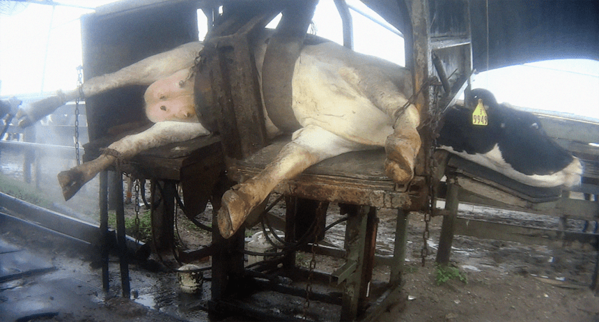 Estas son las noticias más tristes de Florida en 2017 