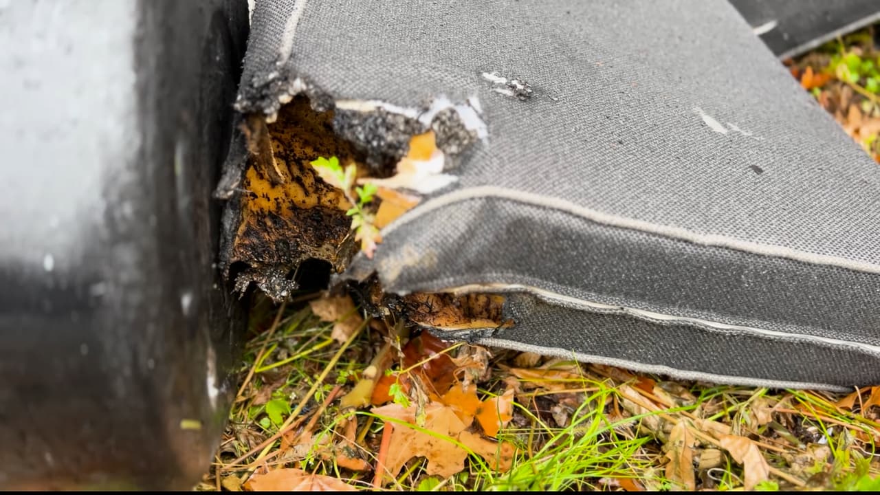 Tras atacar a sus familiares, 
<b>Gordon habría prendido fuego a un sillón de la casa.</b>
<br>
<br>Esto impidió el acceso a los policías de Nueva York.
<br>