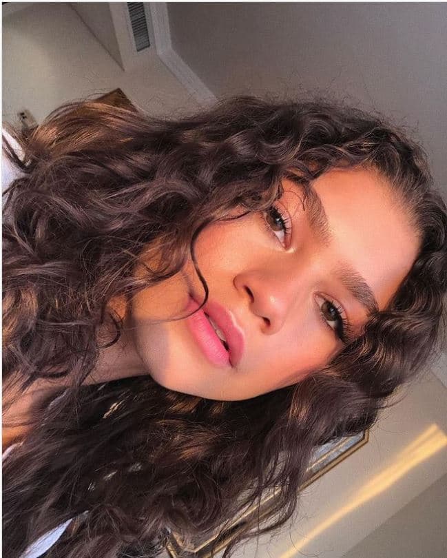 Zendaya cabello natural