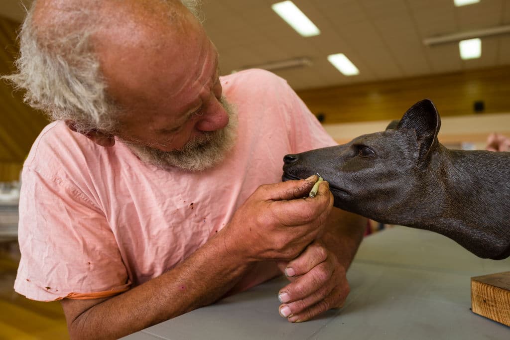 El profesor Pask dijo que TIGGR concentrará sus esfuerzos en establecer las
<b>tecnologías reproductivas adaptadas</b> a los marsupiales australianos, como la FIV y la gestación sin sustituto, ya que Colossal despliegue simultáneamente sus capacidades de edición de genes en sus laboratorios.
<br>
<br>En la imagen, el artista australiano Dave Hurst trabajando en una réplica del tigre de Tasmania de cera en enero de 2019 en Miena, Australia.