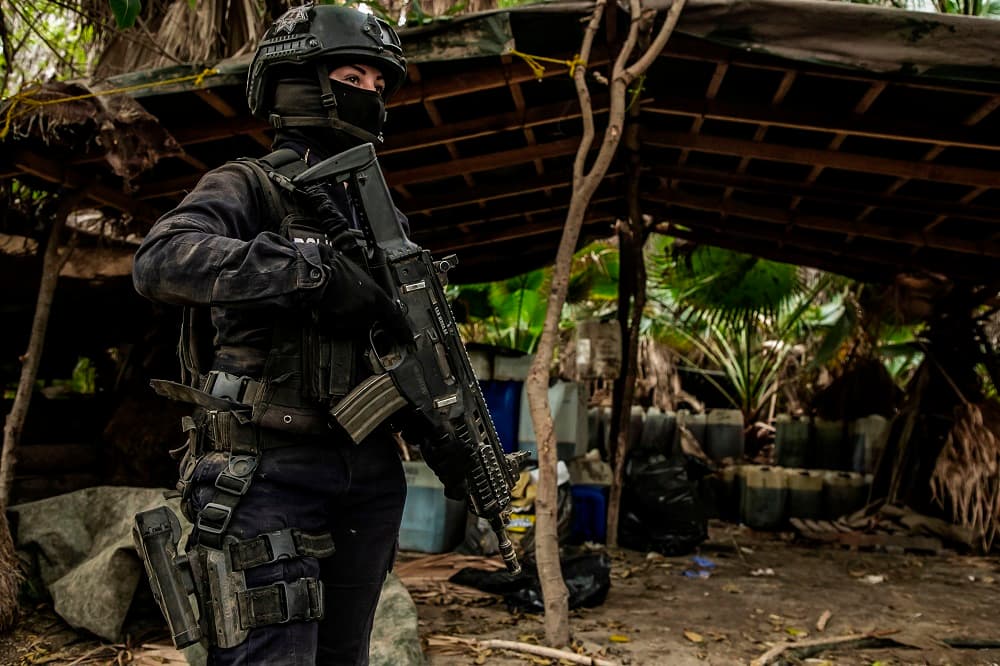 Según la secretaría de Seguridad Pública de Sinaloa, se trata del golpe más importante narcotráfico en lo que va del año, pues estos tres laboratorios produjeron más de 17 millones de dosis, que en el mercado estadounidense podrían venderse hasta por 160 millones de dólares.