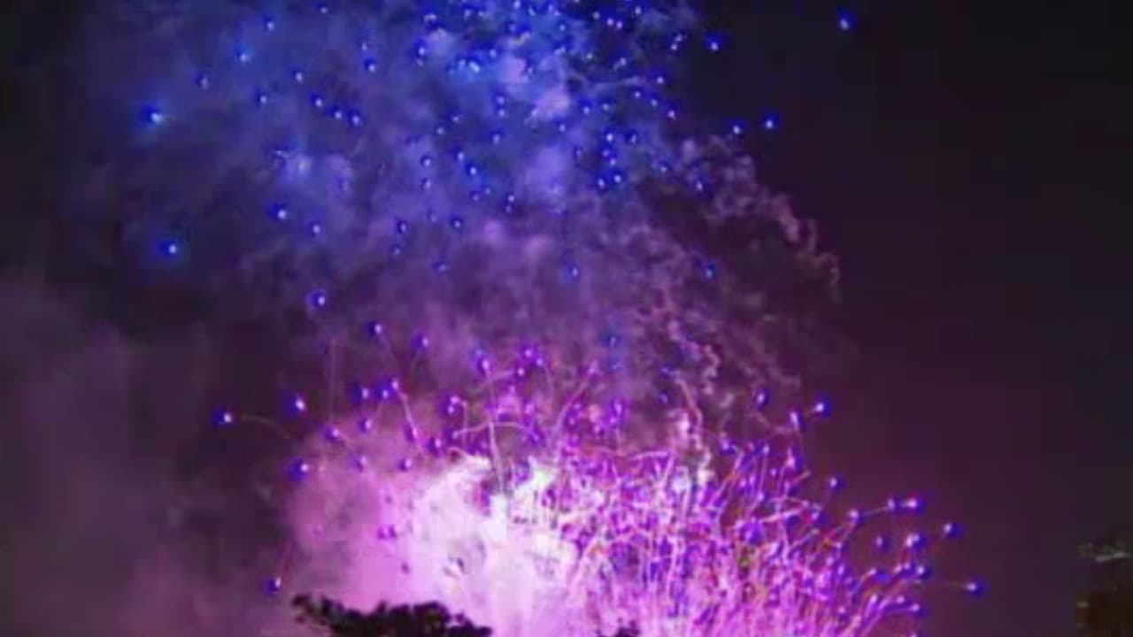 Los fuegos artificiales estarán a la venta del 24 de junio a 4 de julio. Para reportar venta de fuegos artificiales ilegales puede llamar al (281) 999‐2200 o por correo electrónico a fmosupport@fmo.hctx.net. Para más informes visita la 
<b><a href="https://www.hcfmo.net/" target="_blank">página de internet de condado Harris. </a></b>