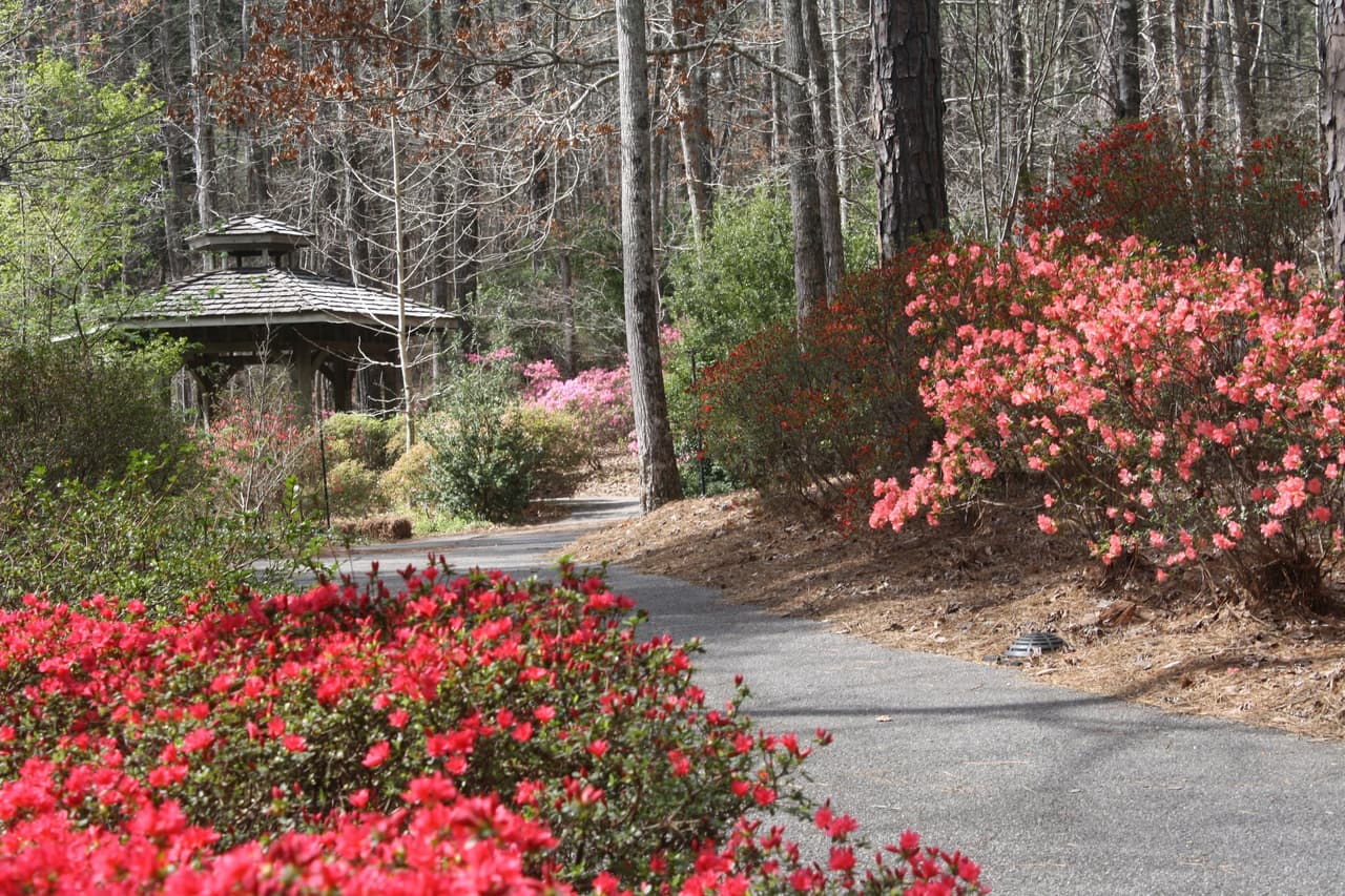 <b><a href="https://www.callawaygardens.com/">Callaway Resort & Gardens (Pine Mountain)</a></b>. Contempla las vibrantes flores de azalea de la primavera explorando 2,500 acres espectaculares, llenos de senderos para caminar y andar en bicicleta y practica golf en un campo de clase mundial.
<br>
<br>
<b><a href="https://goo.gl/maps/eagXH96U6MRShvnE6">Cómo llegar</a></b>