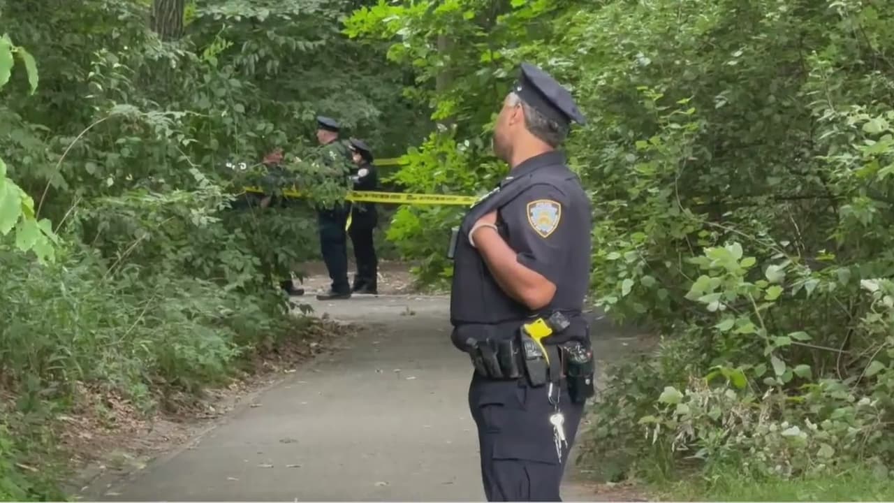 Sospechoso intenta abusar de mujer en Central Park; víctima lucha, grita y evita agresión