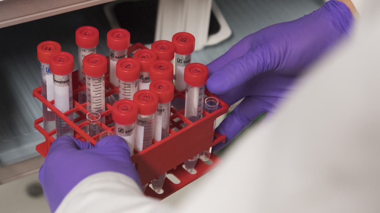 El robo de más de 37,000 medicamentos para niños con cáncer en México genera indignación y temor a que se agrave su escasez