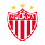 NEC