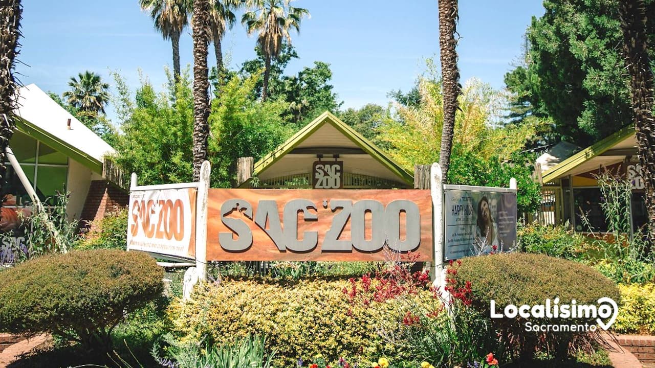 Conecta con la vida silvestre y la naturaleza a través Zoológico de Sacramento