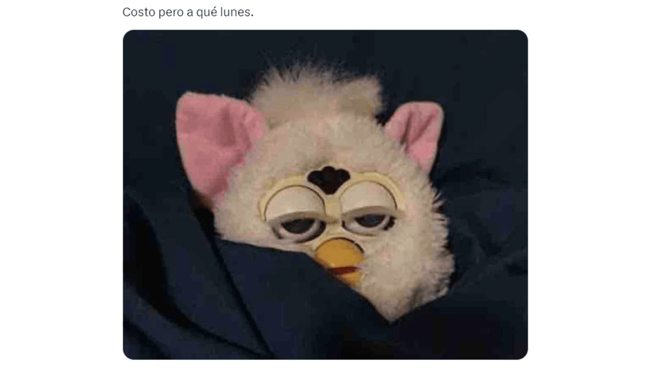 Memes para sobrevivir al lunes