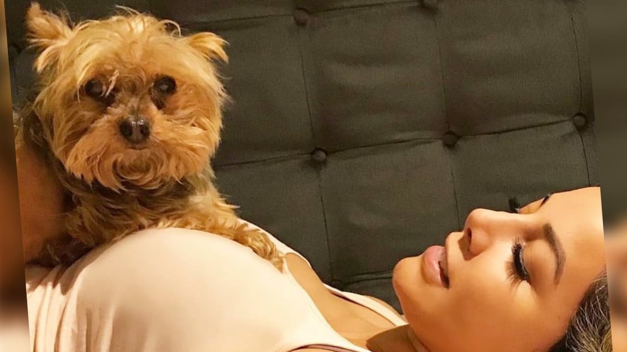 Aleida Núñez llora la muerte de su perro: "No he tenido ni ánimo"