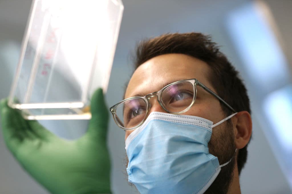 <b>Se sabe que el primer lote de vacunas no será suficiente para todos,</b> pero conforme este primer grupo se haya vacunado, se administrará la vacuna a aquellos empleados prioritarios que no están relacionados a la 
<a href="https://www.univision.com/temas/salud">salud. </a>
<br>
<br>
<br>