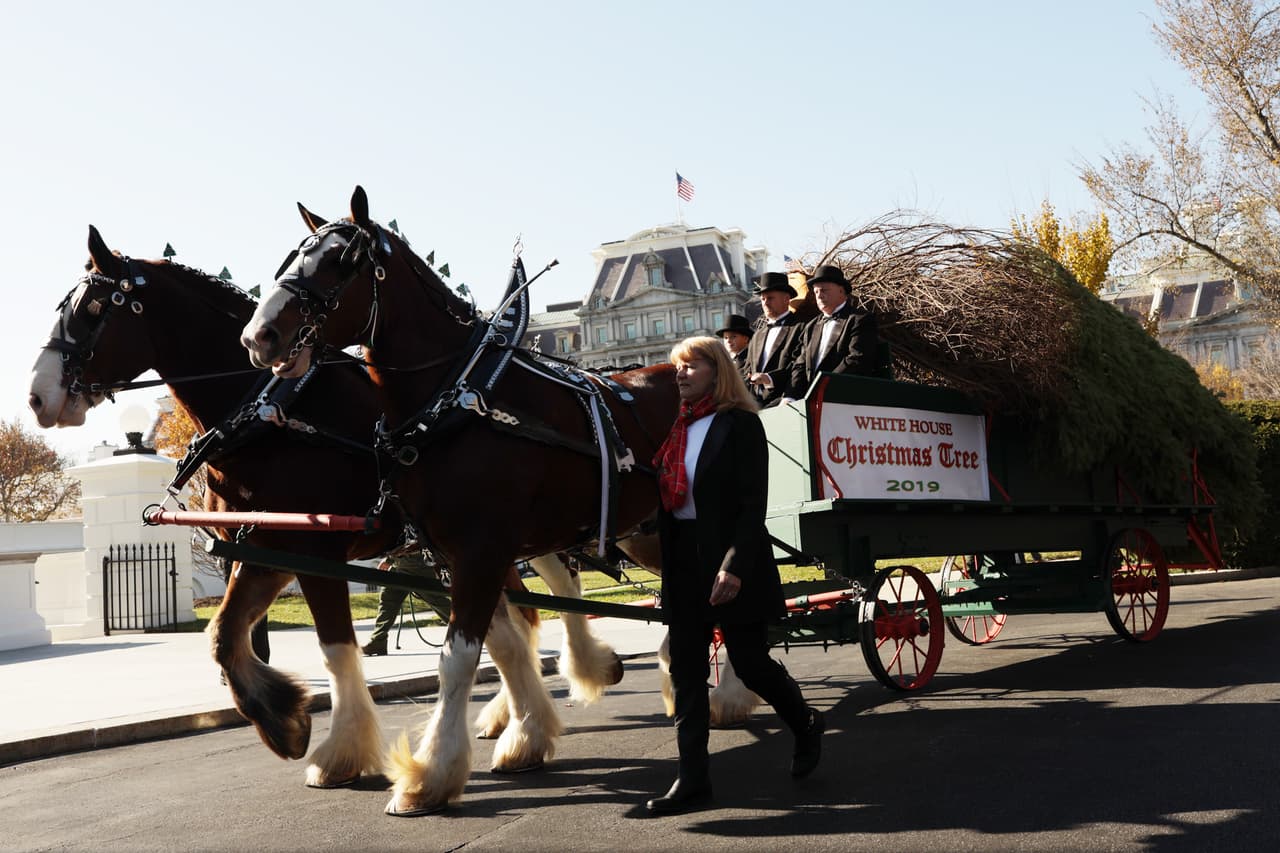 De acuerdo con la Asociación Histórica de la Casa Blanca, la tradición del árbol de Navidad se realiza desde 1889, cuando el presidente Benjamin Harrison colocó el primer árbol en el salón Amarillo y allí fue decorado. Desde 1912, se instala en el salón Azul.