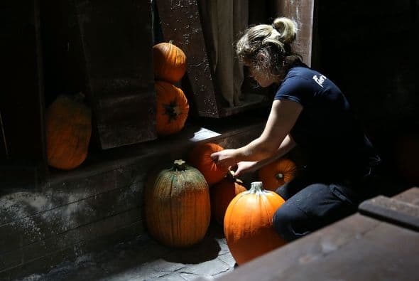 Se podrá disfrutar de un ambiente terrorífico y mucha diversión.