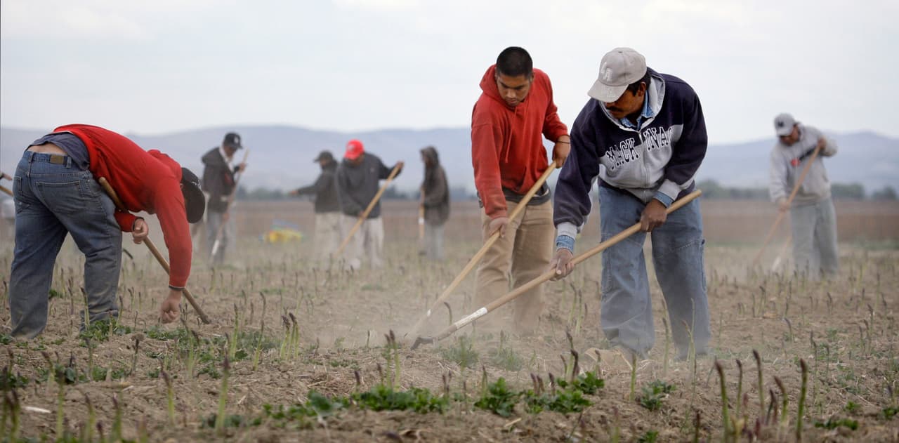 Grupo bipartidista de la Cámara de Representantes entrega proyecto de ley para trabajadores agrícolas