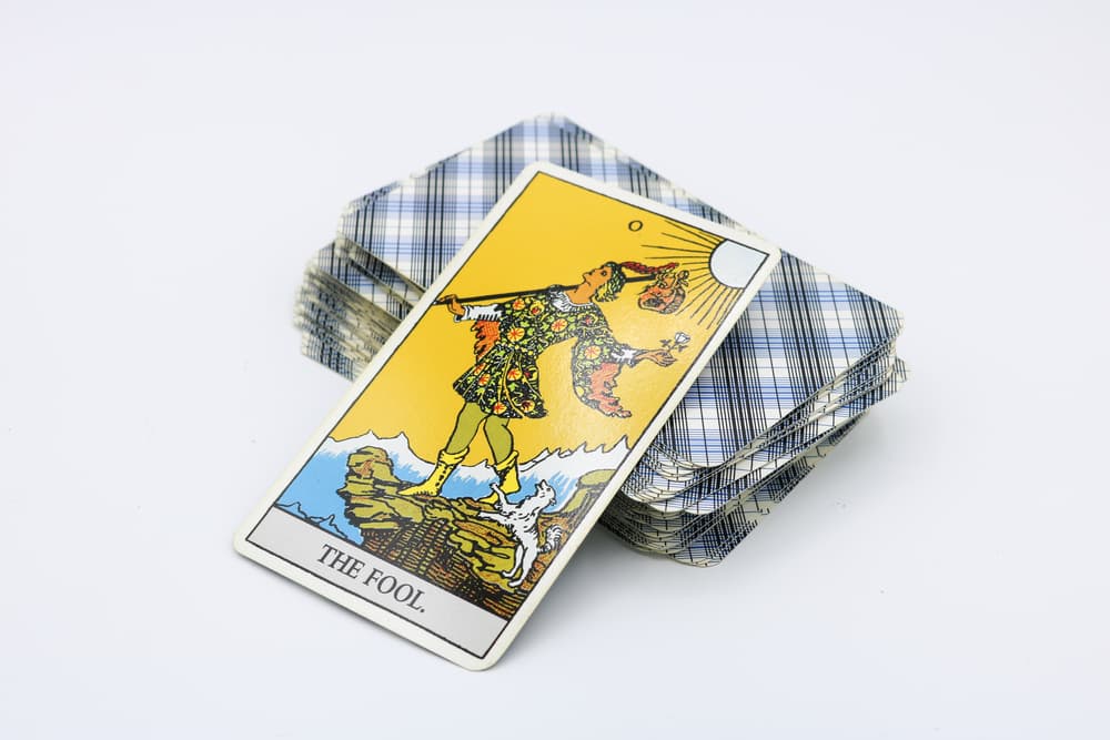 Está mirando hacia arriba, hacia lo divino, lo espiritual, buscando su fuerza e inspiración, sin darse cuenta del precipicio que no es mala señal, sino realmente es el inicio de su aventura, es el salto a la aventura, a lo material y desconocido. También hay un perrito o lobo blanco que está a su lado incitándolo y protegiéndolo.