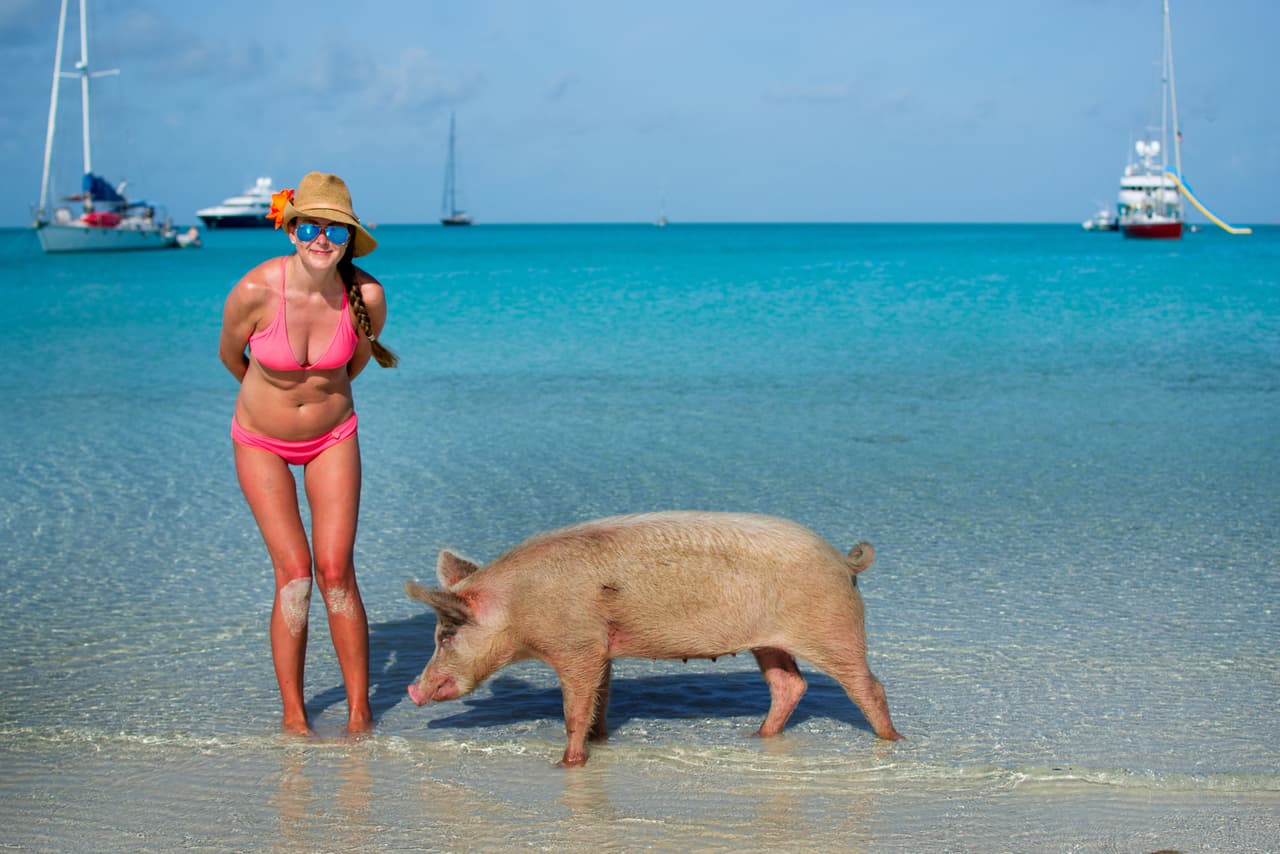 Es el paraíso en el que a todo puerco le encantaría vivir.