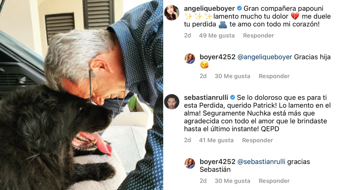 Patrick Boyer, papá de Angelique Boyer, sufrió la muerte de su mascota Nuchka.
