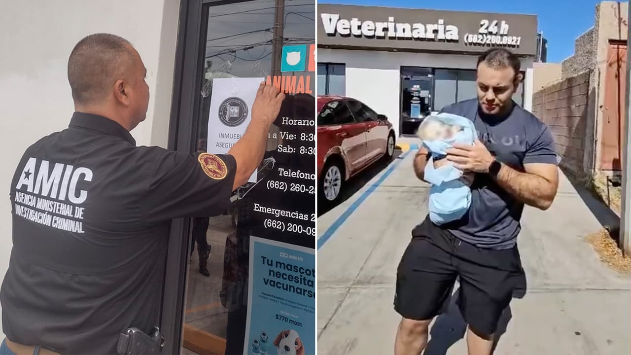 Lleva a su perro a limpieza dental y se lo entregan sin vida; veterinaria fue asegurada