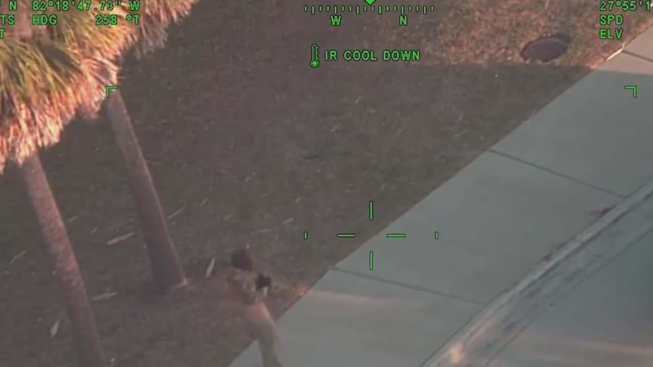 Abaten a hombre con rifle y armadura en Florida: esto dice la ley sobre portar armas en público