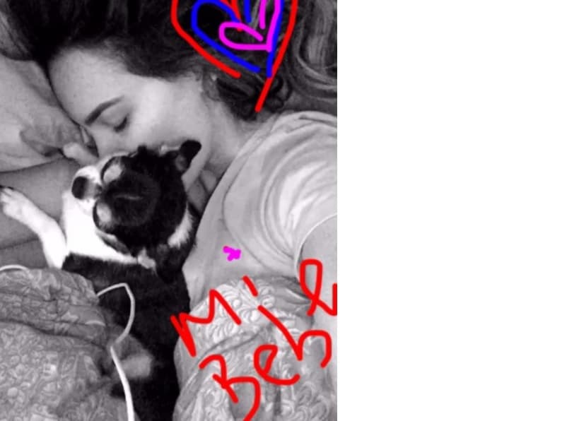 Para Belinda el amor incondicional lo tiene con su perro ‘Gizmo’ , incluso comparten hasta su cama y lo llama bebé, llevándolo a todas partes que va.