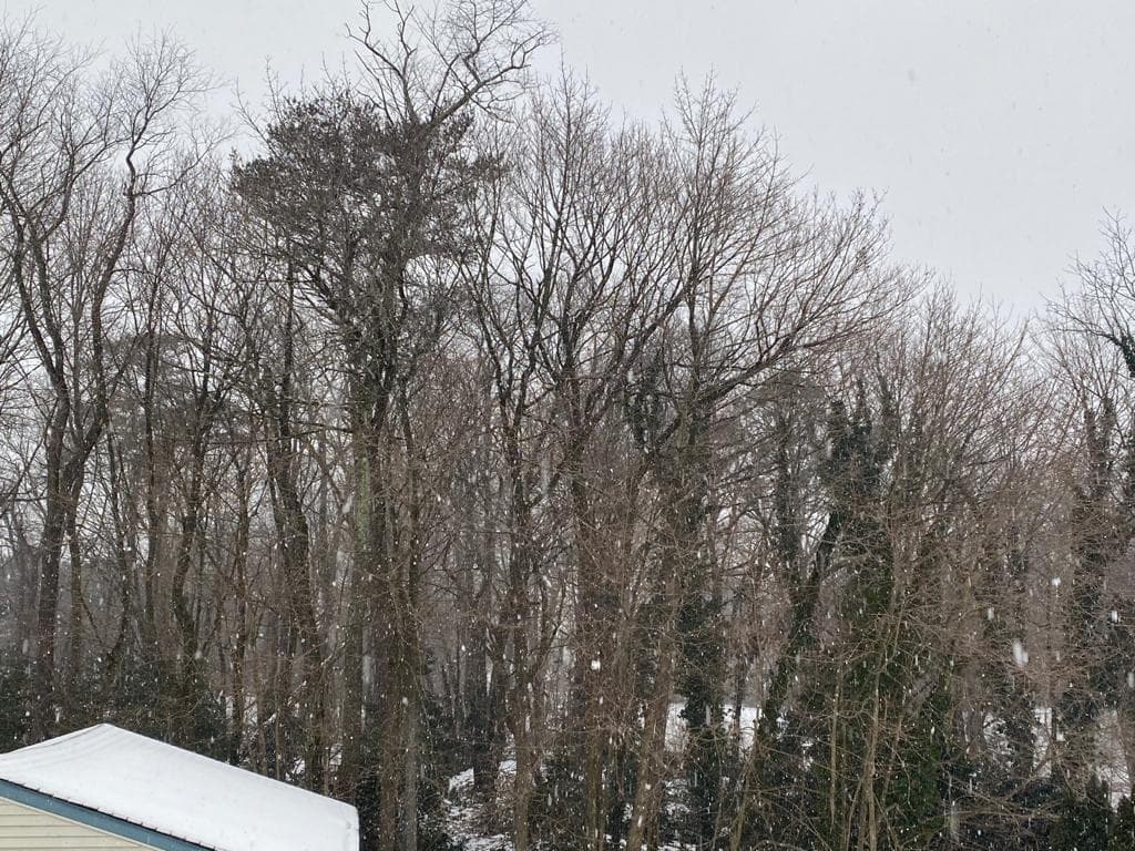 La nieve era densa y constante, suelta y perfecta para jugar.