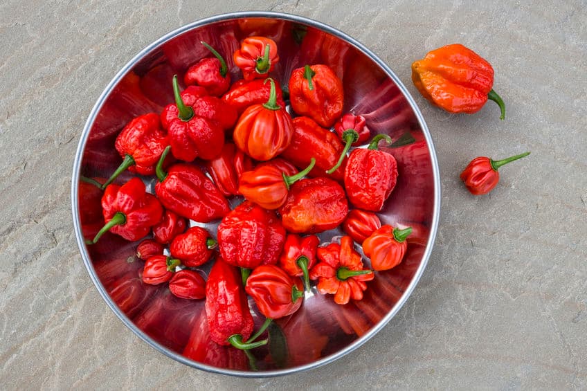 Trinidad Moruga Escorpión