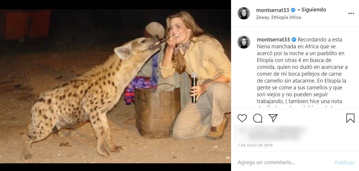 "Era como un zoológico medio extraño por Pachuca, mientras preparaban las cámaras yo veía una
<b><a href="https://www.univision.com/famosos/montserrat-oliver-y-su-hermana-recuerdan-el-dia-que-su-mama-les-dio-un-cuchillo-y-les-pidio-que-se-mataran-video">tigresa de 7 años</a></b> que venía en la jaula y me hacía como gatito", explicó.
<br>