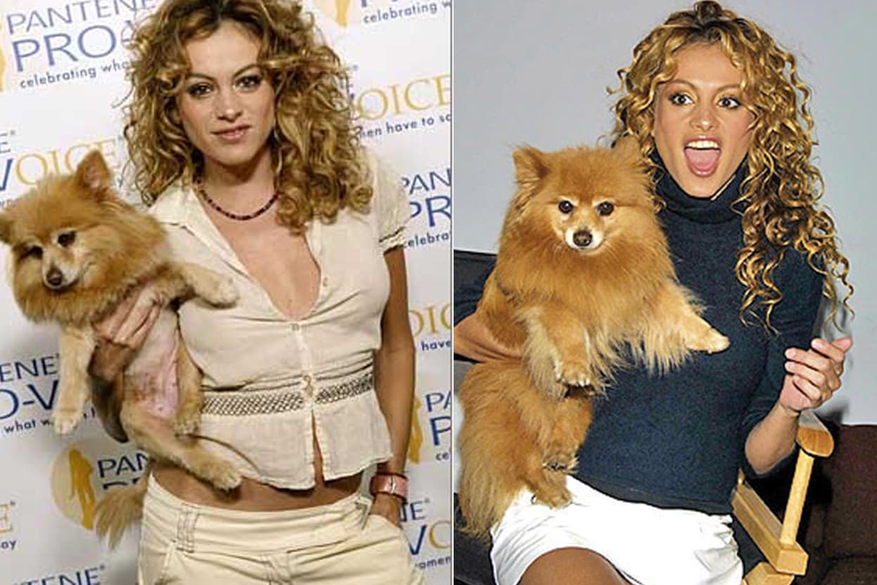 <b>Paulina Rubio </b>Cómo olvidar a su inseparable amiga Miranda, una pomeriana que la acompañó en los mejores tiempos de su carrera.